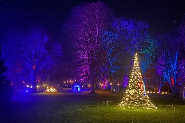 Märchenhafte Adventszeit beim 3 x 20