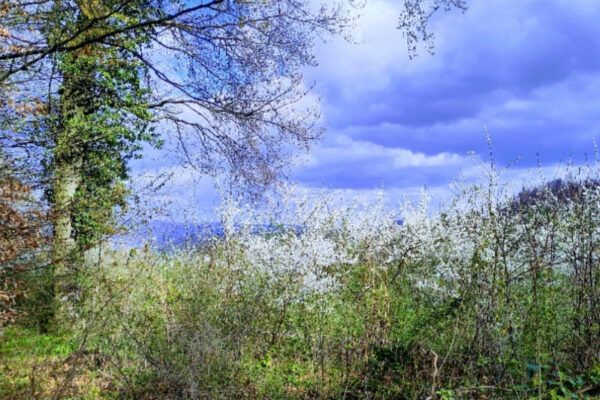 Einladung zum ökumenischen Auffahrtsgottesdienst