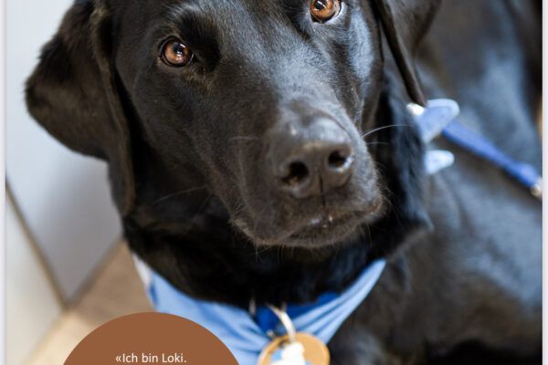 Botschafterhunde zu Besuch beim ökum. Dienstagstreff
